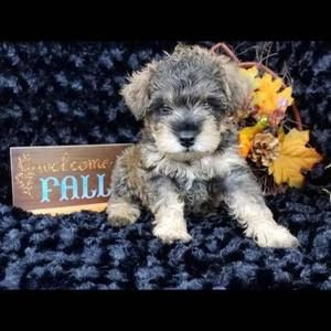 Meet your Posher, Lori